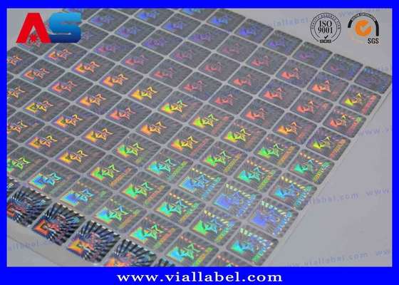 Het Hologramsticker van de veiligheidsdouane Anti - Valse Bescherming met Serienummer